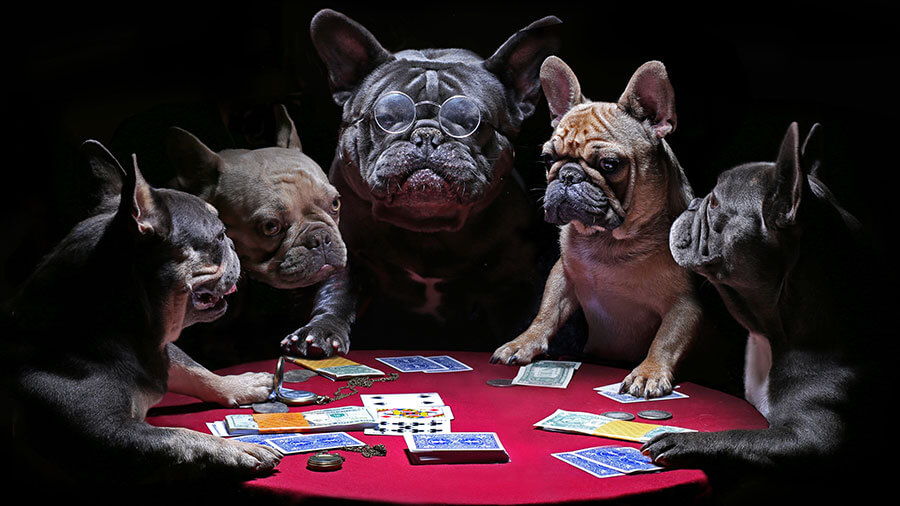 How to WIN Video Poker at Bella Vegas Online Casino